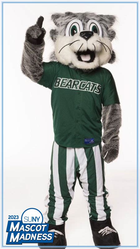 The Psychology of Mascots: How SUNY Boosts Morale with Characters
